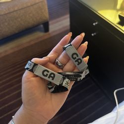 (2) Sunday GA Wristbands