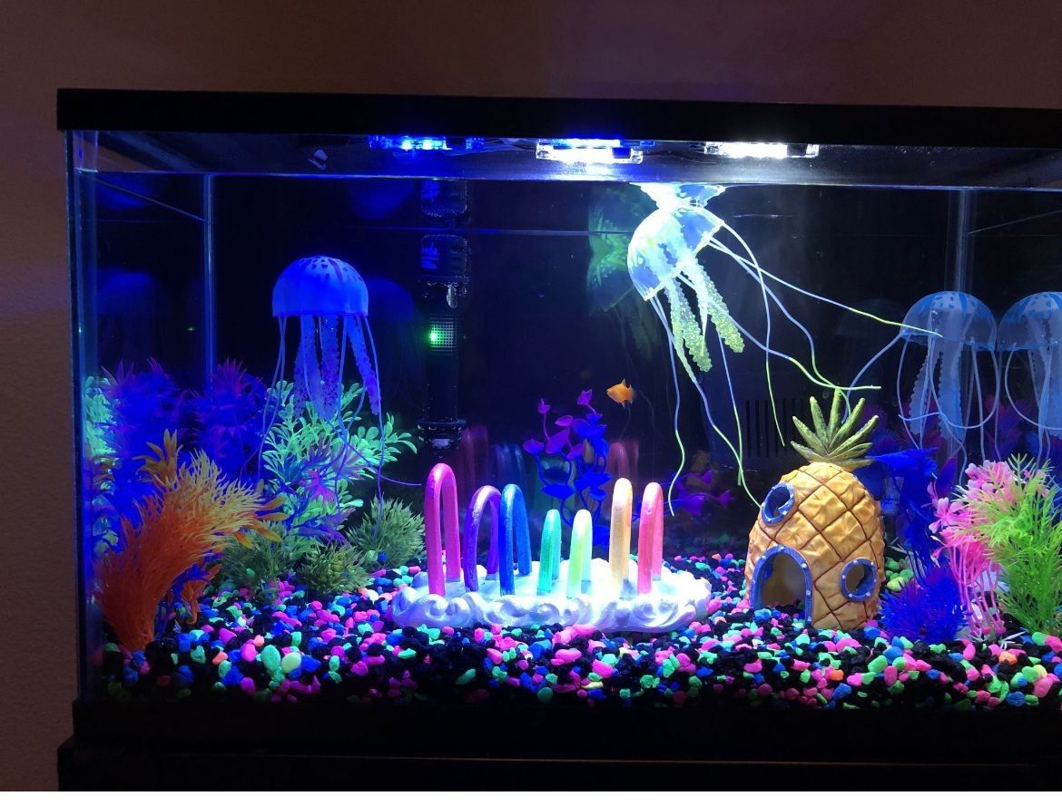 Fish Tank - Aquarium