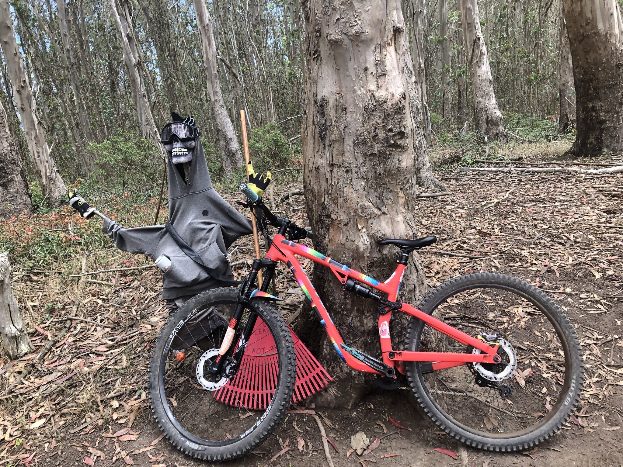 2020 Salsa Spearfish