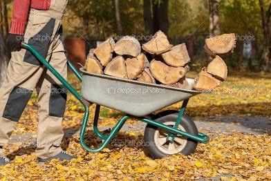 Firewood 🪵 Leña 🔥 Ready To Burn