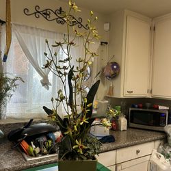 Plants Artificial 