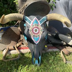 Hand Painted Cow Skull 