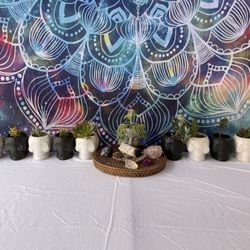 Skull Pots/Sugar Skulls/Calaveras