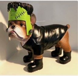 Halloween Frenchie French Bulldog in Frankenstein Costume Humane Society