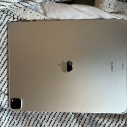 Apple iPad Pro 6th Generation 256 GB in Silver