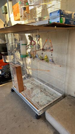 Large cage (3)b