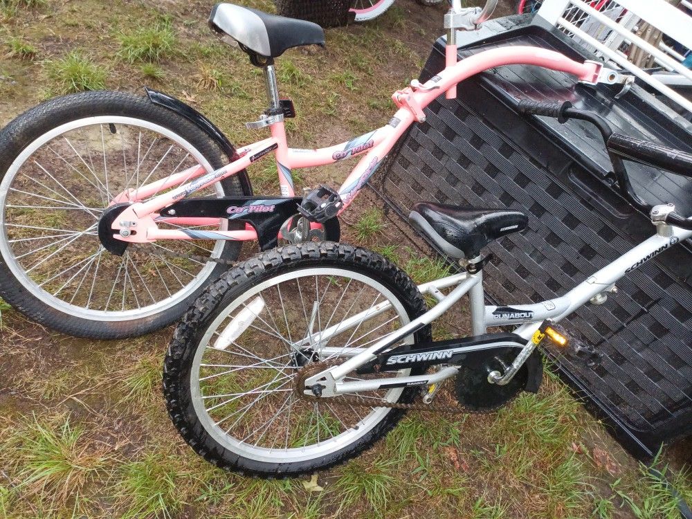 Schwinn Pullalong Bike or Co-Pilot