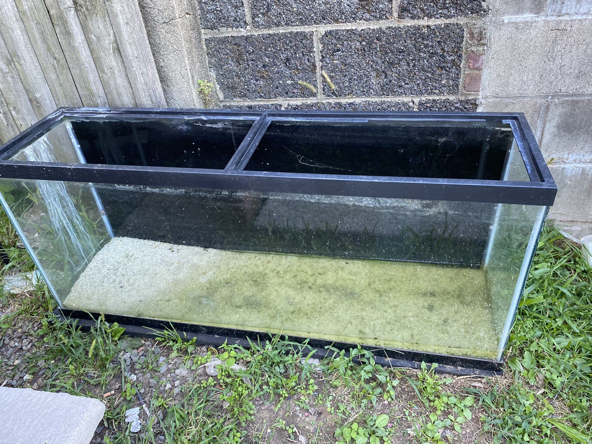 Fish Tank
