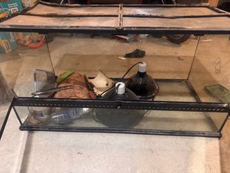 Reptile tank