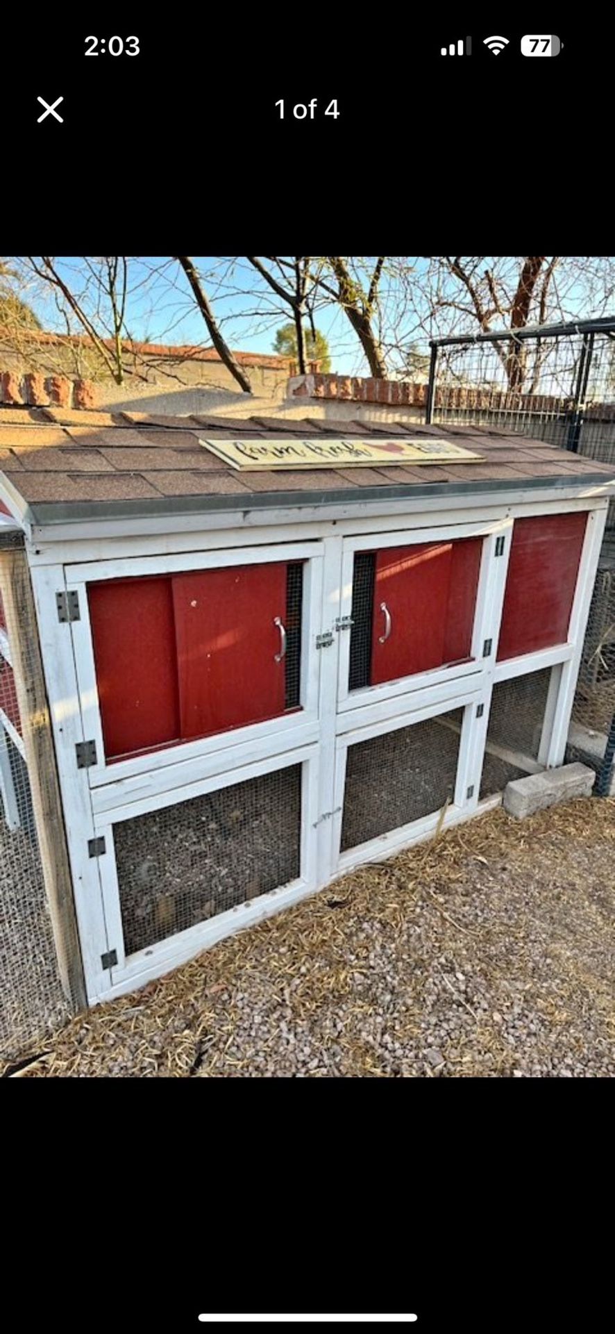 Chicken Coop