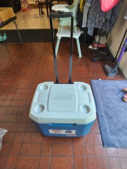 Cooler 50 quart