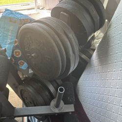Weights 
