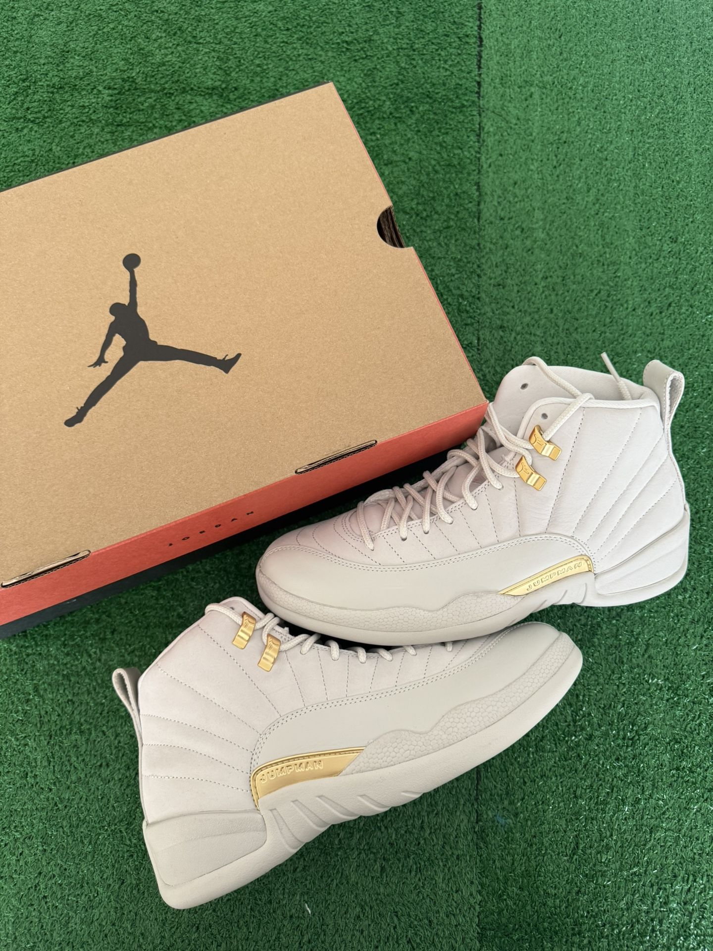 Jordan 12 Phantom