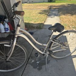 Schwinn Bike