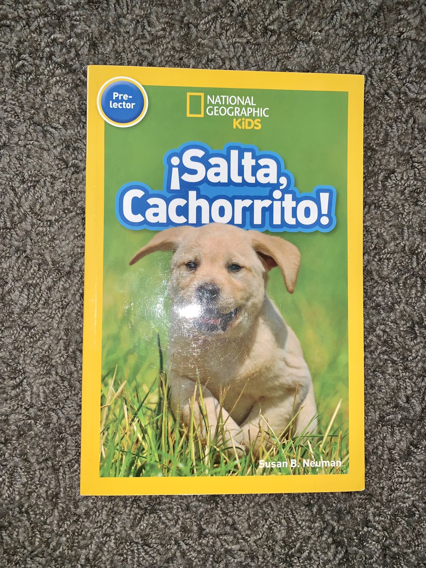 Salta, Cachorrito!  Easy Spanish Book