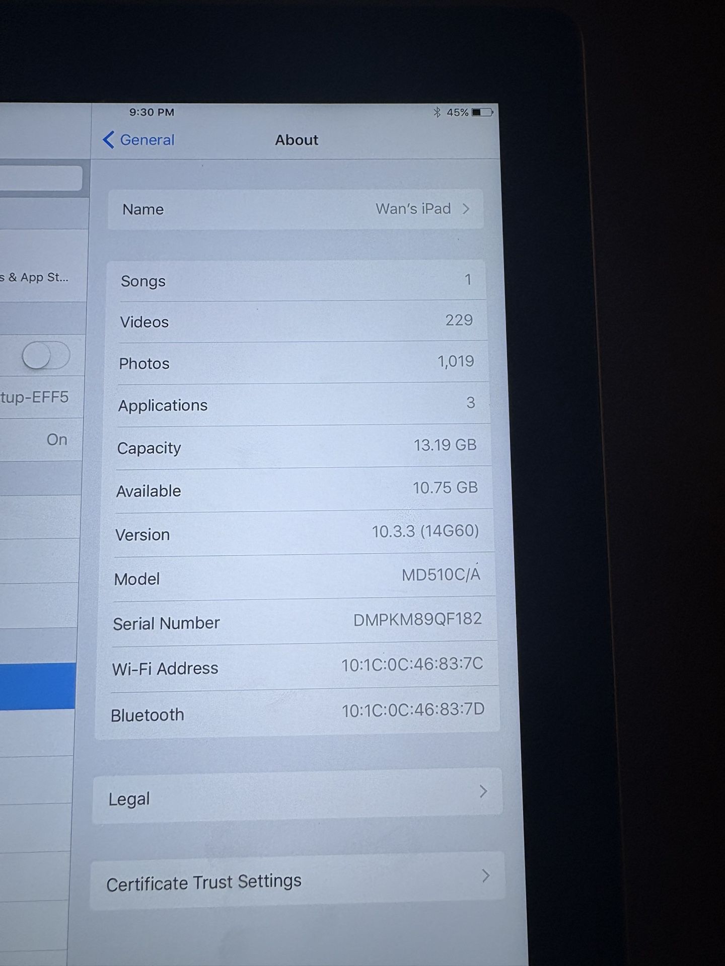 iPad