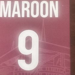 Dolphins Parking Pass Maroon Each Sold Separately Have All Free Games