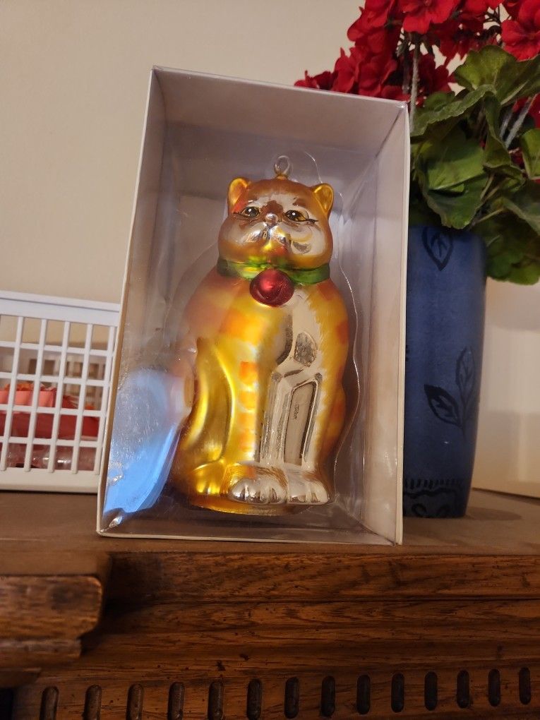 Glass Cat