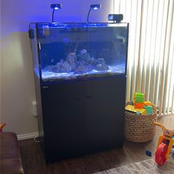 Red Sea Reefer 250