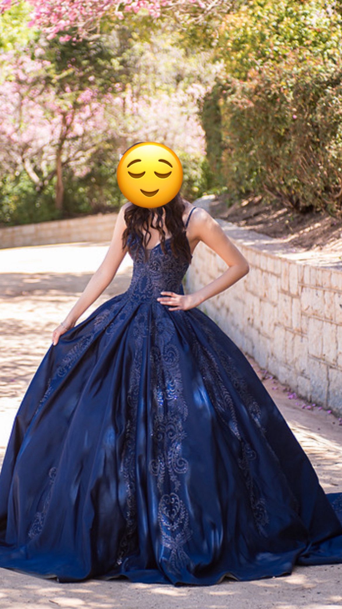Quinceanera/ sweet 16 dress