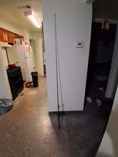 Bait Caster Rod And Reel