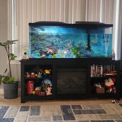 60 Gallon Aquarium with Stand for Sale