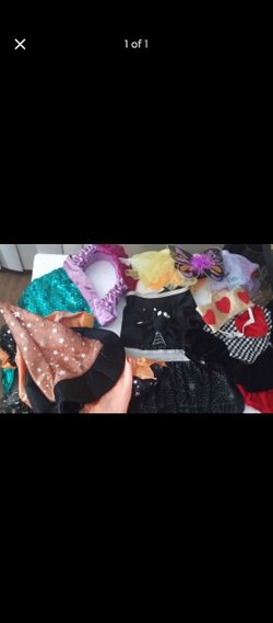 Female Dog Halloween Costumes