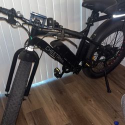 Electric Bike 