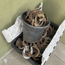 Horse shoes