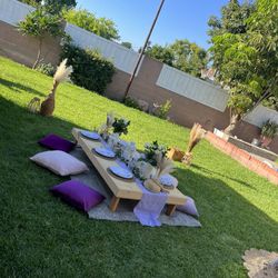 Backyard, Beach, Or Park Picnic