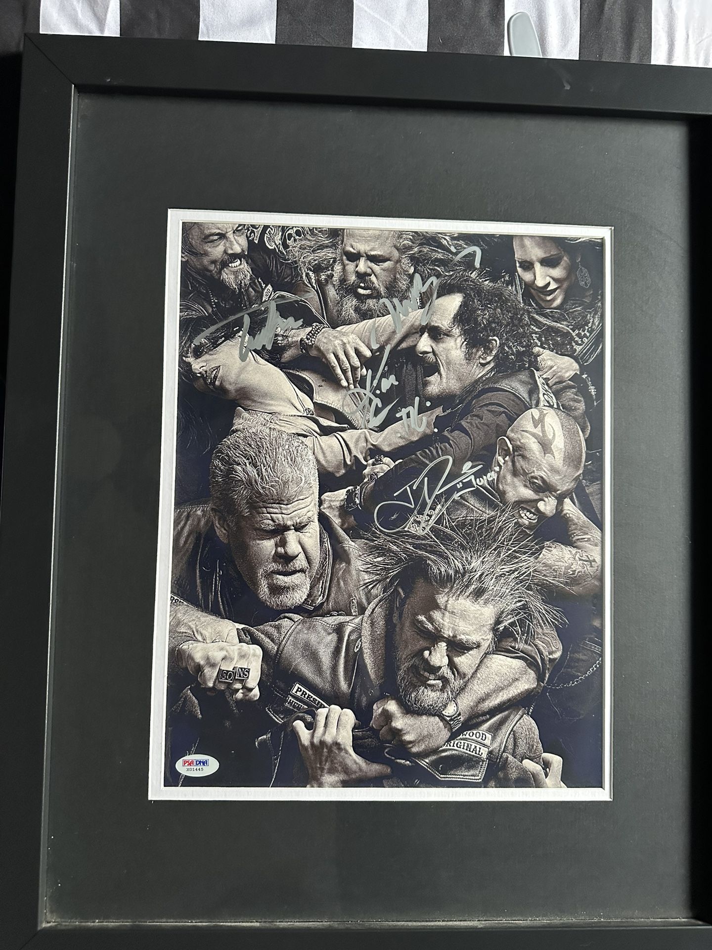 PSA/DNA signed Sons of Anarchy Print