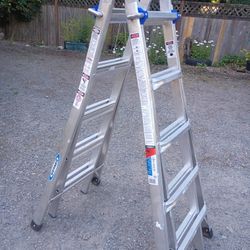 Werener Little Giant Ladder 