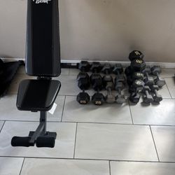 Dumbbells weights 10-50 plus adjustable bench 450lbs total