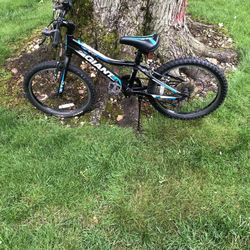 20” Giant Mountain Bike 