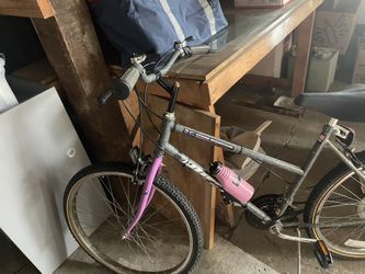 Retro Buffy Mountain Bike