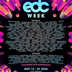 3 Day EDC Ticket