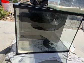 Aquarium Equipment and Tanks