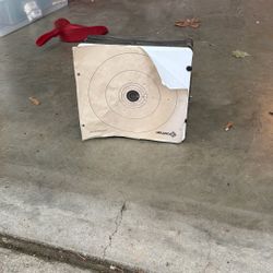 ***Pellet Gun Target****