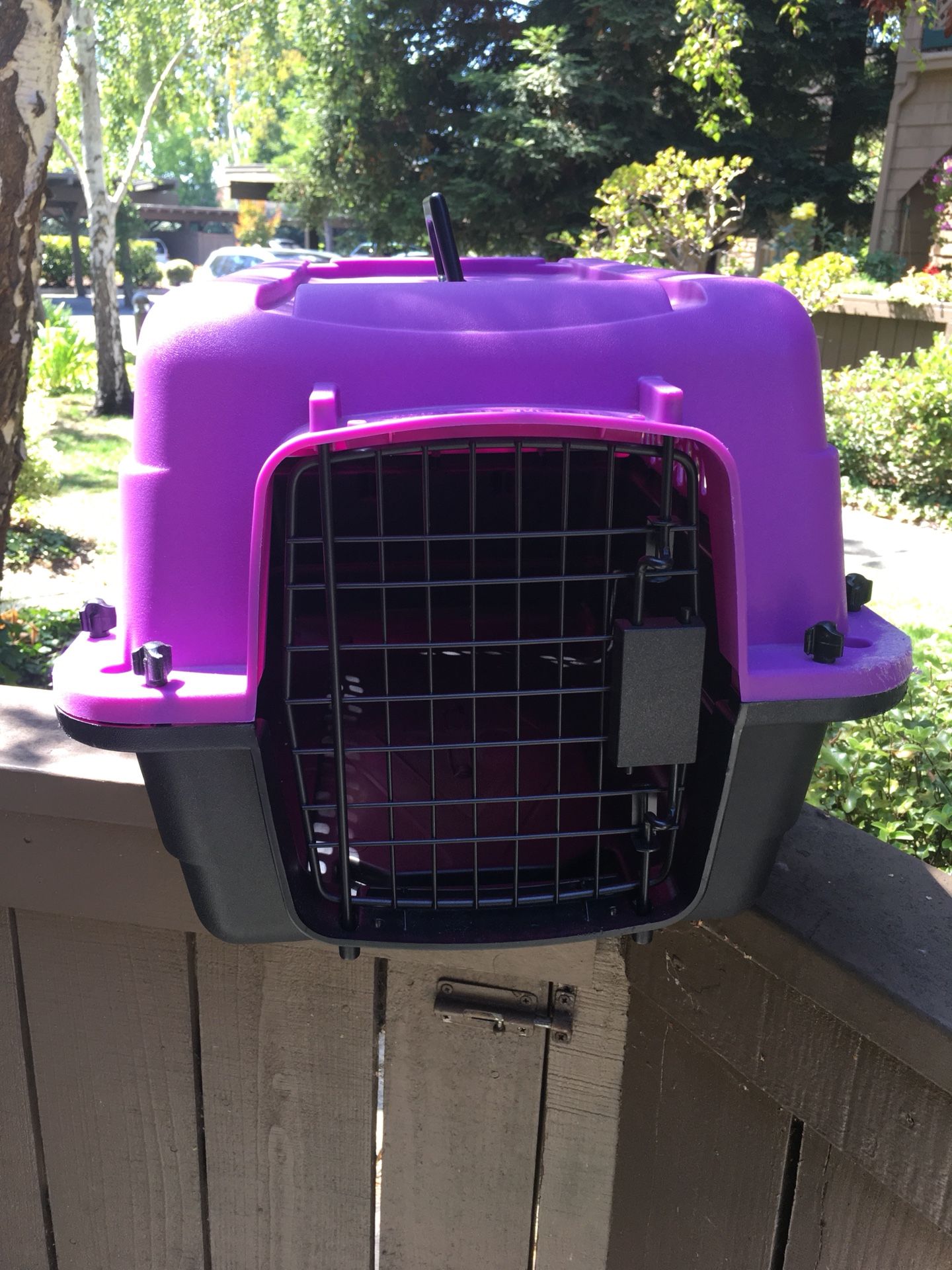 Grreat Choice 24” Pet Carrier - PetSmart