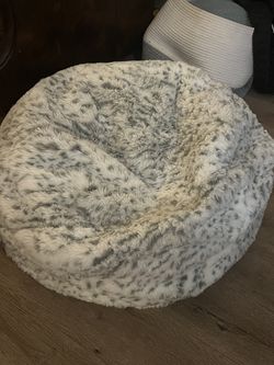 Pottery Barn Teen Faux Fur Bean Bag Chair