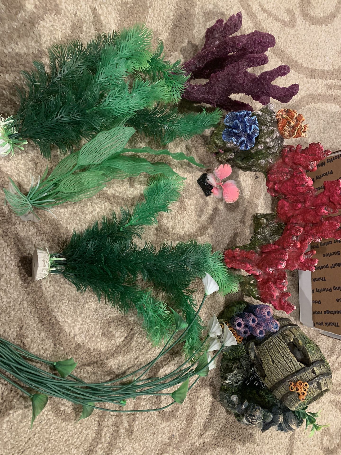 Aquarium Decor
