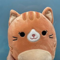 gigi squishmallow 7.5”