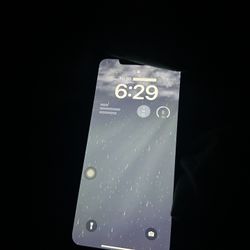 iPhone Xs Max 