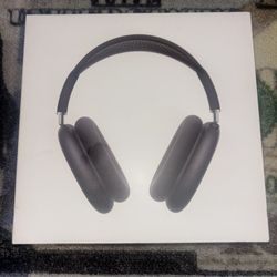 Max Space Gray