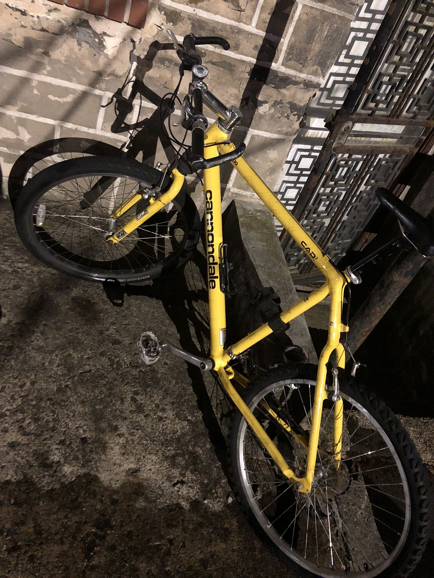 Rare Find
