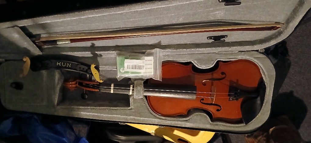 Violin