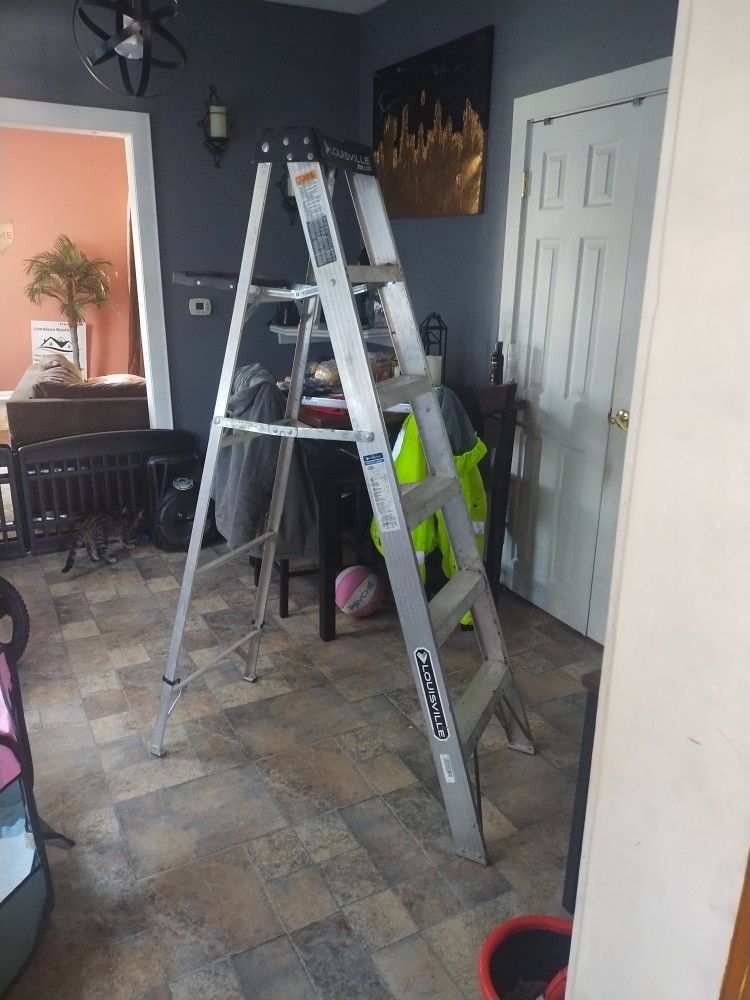 Louisville Step Ladder