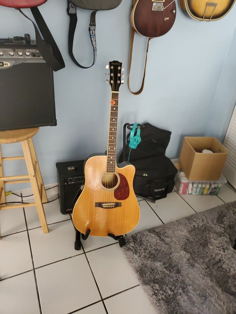 Spectrum Accoustic/electrick Guitar