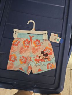 2t swim shorts