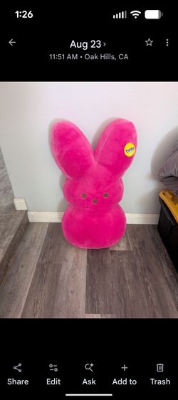 🩷Jumbo Hot Pink Peeps Plush.